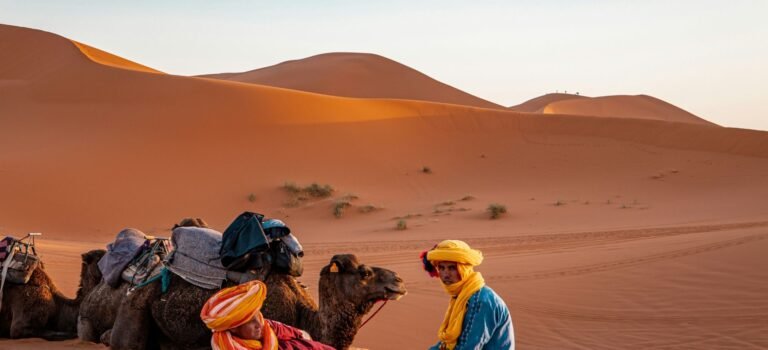 A Man Sitting in the Sahara Desert with Camels